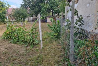 Vand schimb casa aproape de Dunare, muntii Macinului, zona viticola - 2