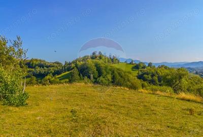 Teren extravilan 6,014mp | Holbav | BRASOV | COMISION 0| - 5