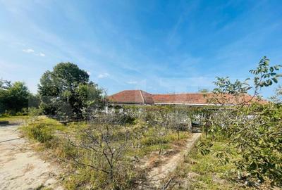 Casa pretabila activitati comerciale, 300 mp, zona Izvorul r - 1