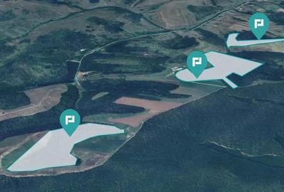 Padure 50,7 ha in jude?ul Arad - 2