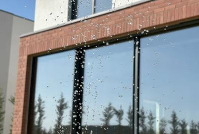 Casa Ark – 5 camere, moderna, Dumbrava Vlasiei - 7