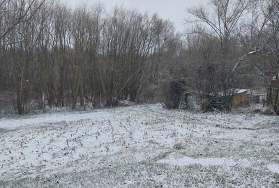 Spațiu comercial, în Făurei - 4