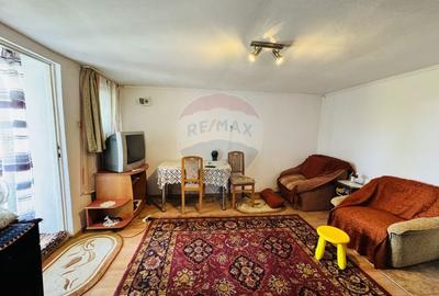 Teren Construcții intravilan de 6210 mp, în Apateu - 10