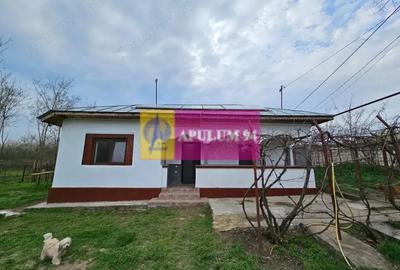 Casă cu 2 camere cu Teren 5000 Mp în Bucșani - 4