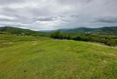 Teren extravilan 10000 mp, com Panatau - 7