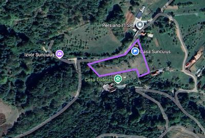 Teren intravilan 6.229 mp Șuncuiuș – râu, izvor, ideal business turistic - 2