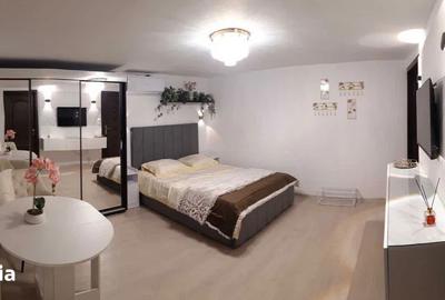 Apartament cu 2 camere semidecomandat, mobilat în Cișmigiu - 7