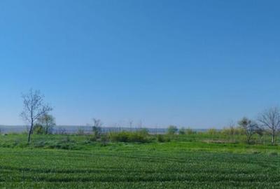 Vand teren intravilan 4000MP cu dechidere la Delta Neajlovu - 8