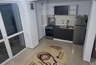 Inchiriez apartament 2 camere 60 mp, valea lupului, cartier iris iasi bloc nou + loc parcarei - 4
