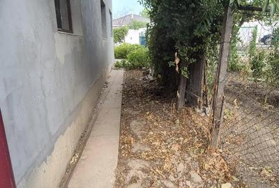 Casa P+M - Valu lui Traian - 3