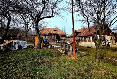 Teren Construcții de 3948 mp, în Provița de Sus - 10