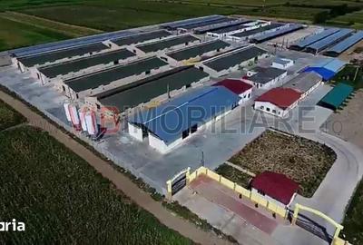Spațiu comercial, de 25,000 mp, în Chiscani - 2
