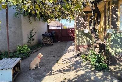 RECO casa Tamaseu - 11