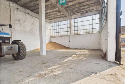 Spațiu industrial, de 6,179 mp, în Orțișoara - 21