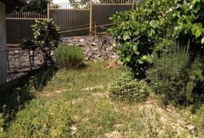 Casă individuală cu 5 camere cu Teren 491 Mp în Muncitoresc - 12