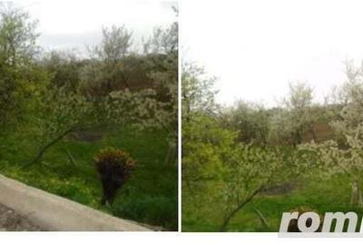 Teren extravilan livada cota parte 1/2 Candesti ID: R1965236 - 6