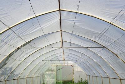 Casă cu 6 camere cu Teren 3000 Mp în Cataloi - 14