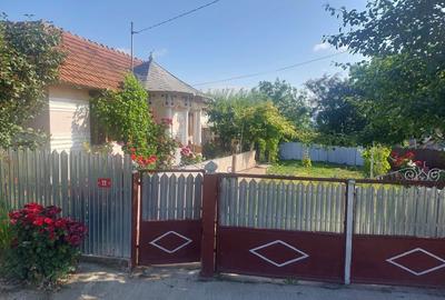 Casă cu 4 camere în Albița - 7