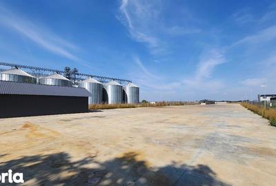 Spațiu comercial, de 4,000 mp, în Sântandrei - 3