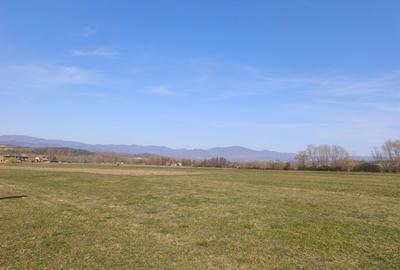 Teren de 3600 mp, în Exterior Vest - 4