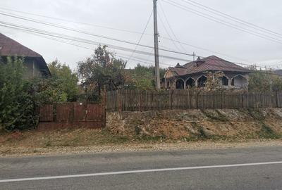 Casă cu Teren 1600 Mp în Dumbrăvești - 2