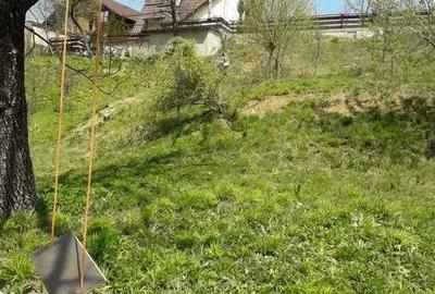 Teren de 561 mp, în Turcheș - 2