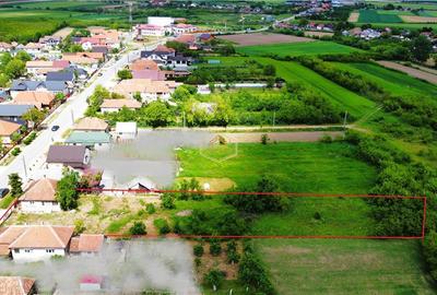 Casă individuală cu 2 camere cu Teren 2211 Mp în Sud-Est - 4