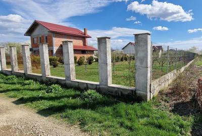 Teren Construcții intravilan de 1260 mp, în Tâncăbești - 5