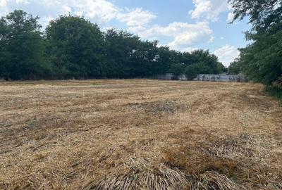 Teren agricol intravilan de 2580 mp, în Hagiești - 2