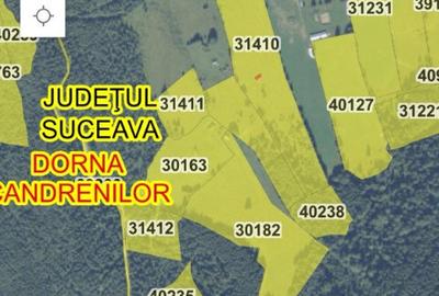 Vand 10 ha teren Poiana Negrii,Dorna Candreni - 1