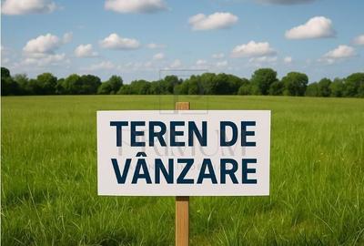 Spațiu comercial, în Moșnița Nouă - 3