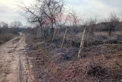 Teren 2,301mp Carcea / Aleea Tarlaua 37 Parcela 63 - 3