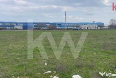 Teren în Cârcea - 6