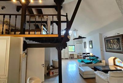 REV2004862 Vila de vanzare Armeneasca - 3