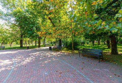 Apartament 3 camere de vanzare | Calea Giulesti | Parcul Marin Preda - 14