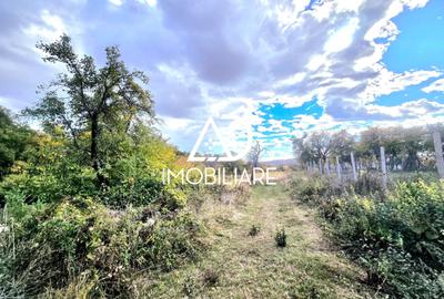 Teren intravilan de 2905 mp, în Bălănești - 5