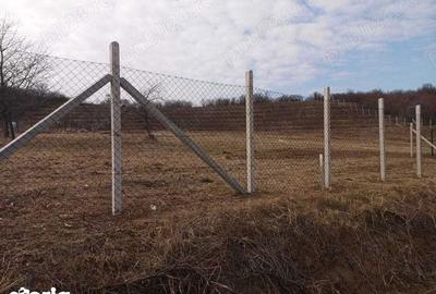 Teren de 9500 mp, în Podgoria - 3