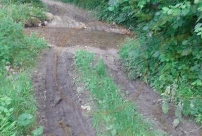 Teren agricol extravilan de 12421 mp, în Big-Bascov - 6