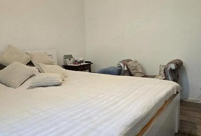 Apartament cu 3 camere decomandat în Zarand - 14