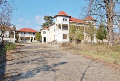 Gussi-Lahovary Mansion, Leordeni Arges-Private 5.6 hectare estate - 2