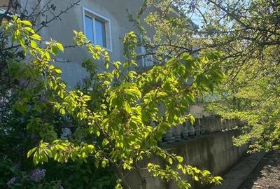 Vila P + 1 si  teren atat ptr.bussines cat si ptr locuit Onesti - 4