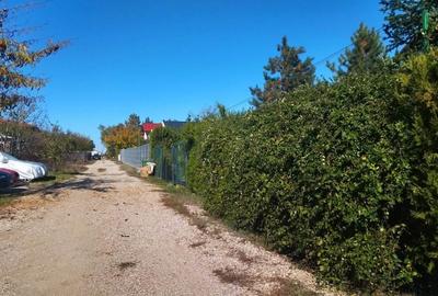 Teren 1000 mp intravilan Ciolpani - 2