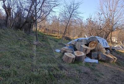 Teren Construcții de 1500 mp, în Boju - 2