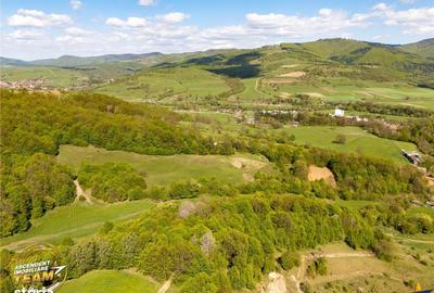 Spațiu comercial, în Malnaș - 8