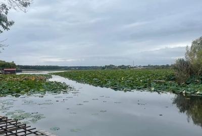 SE VINDE VILA CU DESCHIDERE LA LACUL SNAGOV LA CEL MAI MIC PRET