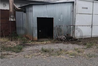 RECO Hale predestinate prelucrarea lemnului, loc. Auseu, sat - 5