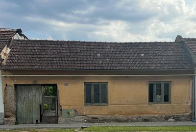 Casa strada principala Tudor Vladimirescu, Bocsa, Caras-Severin - 2