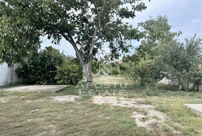 Casa cu teren 1451 mp, Dumbravita - 2