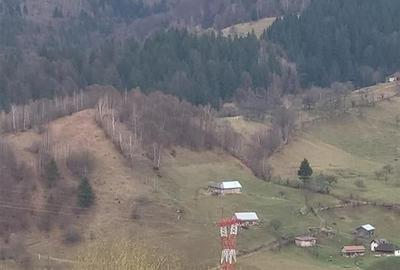 Teren Construcții intravilan de 8800 mp, în Cheia