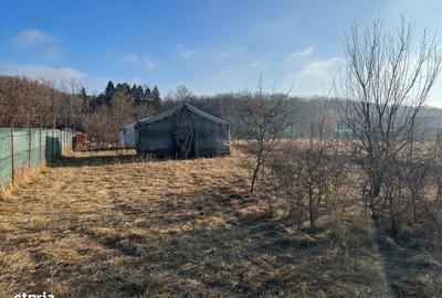Teren de 1200 mp, în Snagov - 2
